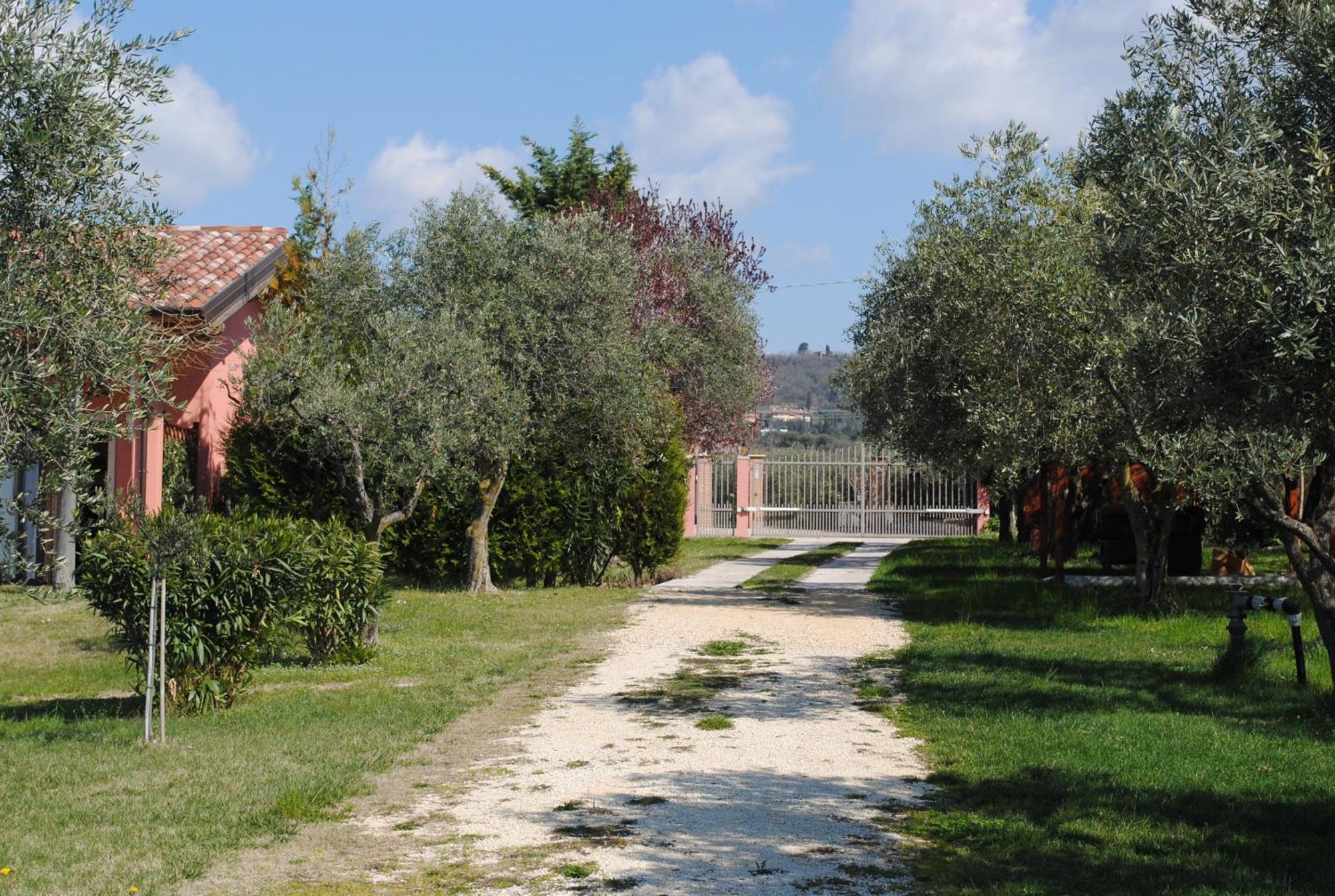 Agriturismo Melograno D'Oro Bardolino Exterior foto
