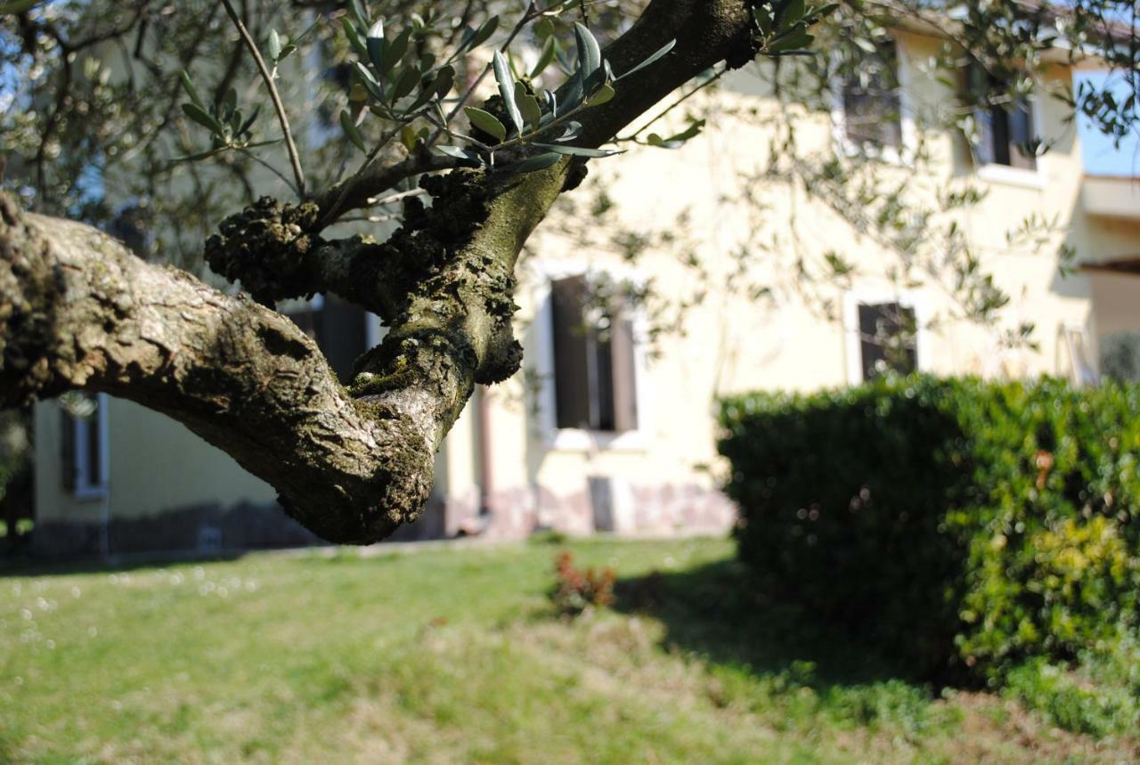 Agriturismo Melograno D'Oro Bardolino Exterior foto
