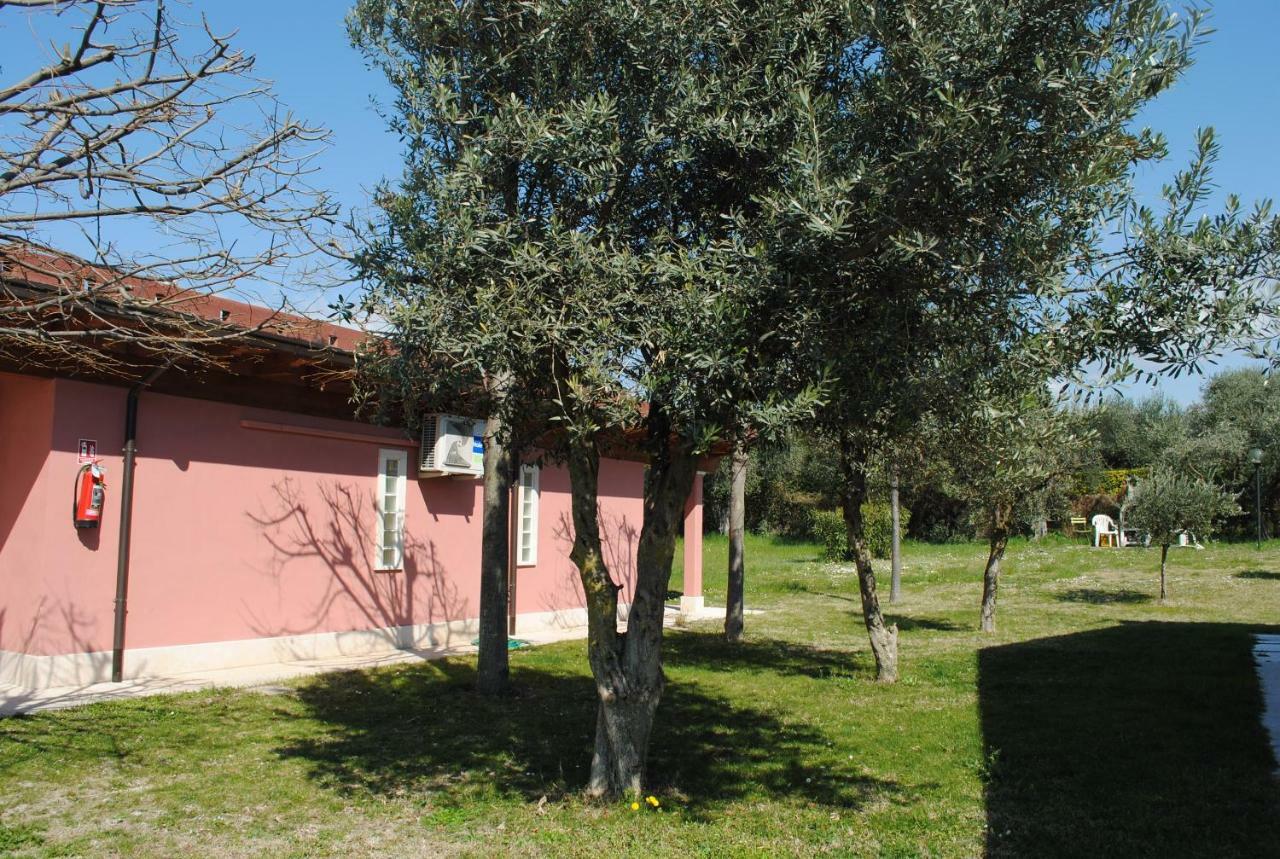 Agriturismo Melograno D'Oro Bardolino Exterior foto